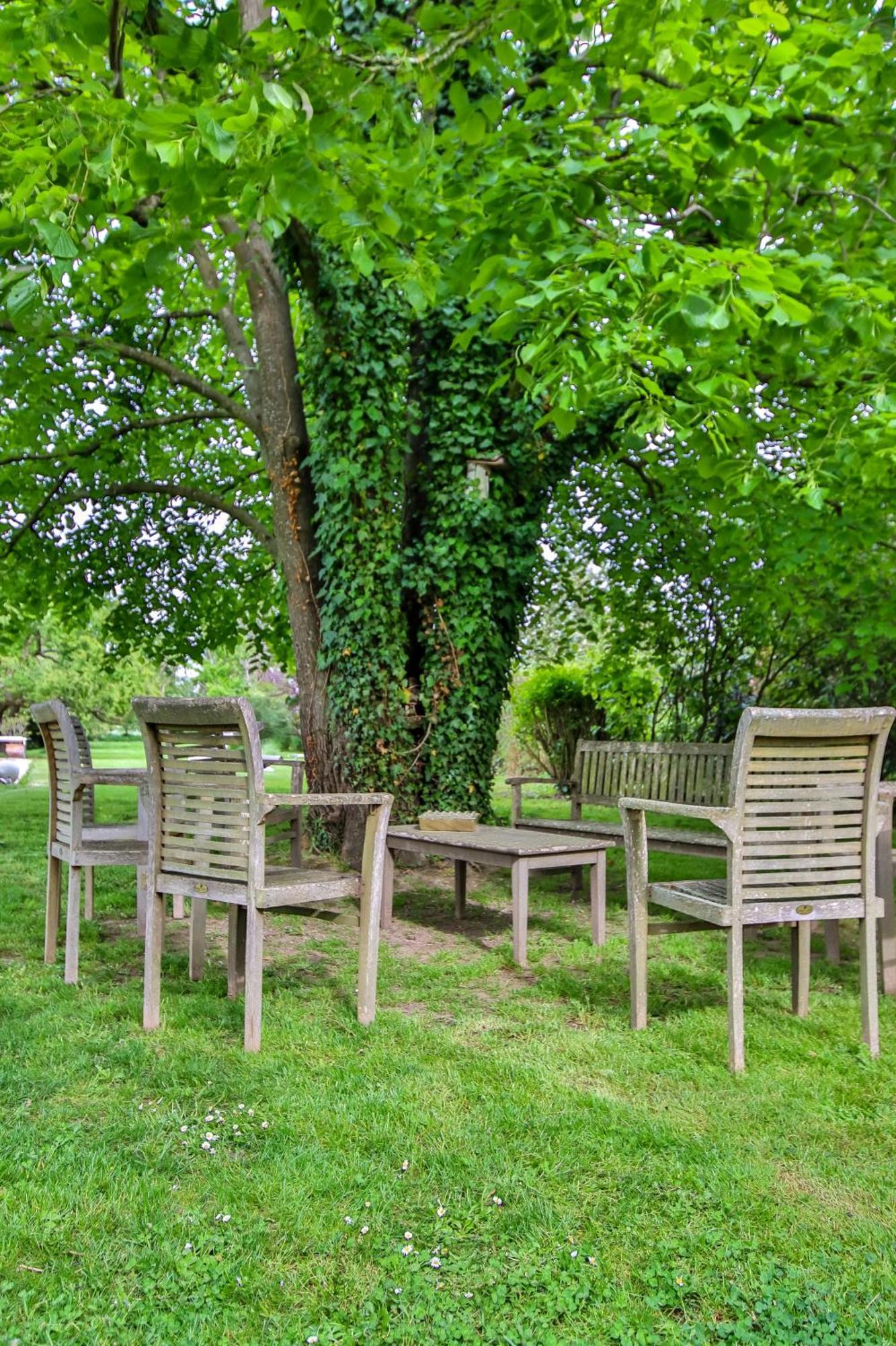 Domaine D'Aromm - Chambres D'Hotes & Gites - Piscine, Etangs & Animaux - Au Calme Ouches Exterior foto