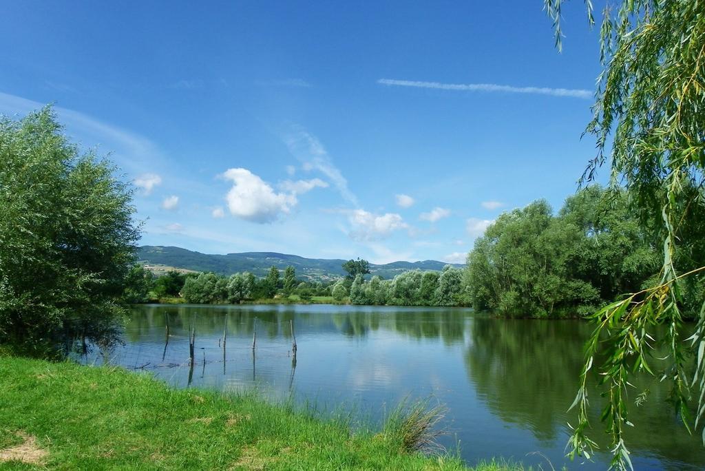 Domaine D'Aromm - Chambres D'Hotes & Gites - Piscine, Etangs & Animaux - Au Calme Ouches Exterior foto