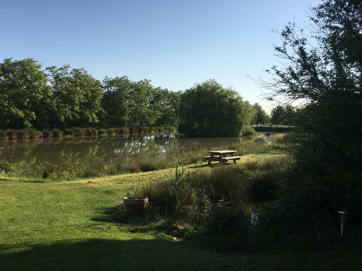 Domaine D'Aromm - Chambres D'Hotes & Gites - Piscine, Etangs & Animaux - Au Calme Ouches Exterior foto